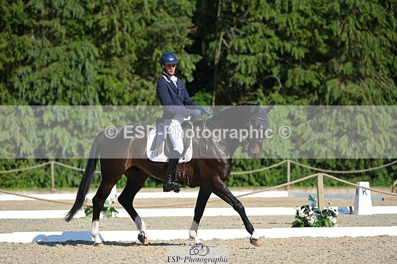 230526-165434-07436 - 258-DHI_KING_NELSON-Barnie_Brotherton-WEDTrotUp+DR