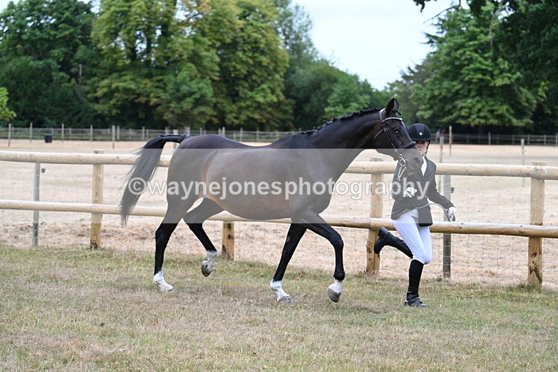 WJ7_8997 - Class 4a Prettiest Mare 14.2hh and over