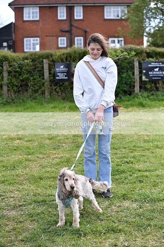 WJ5_0209 - Class 5 Best Veteran / 7 years & over