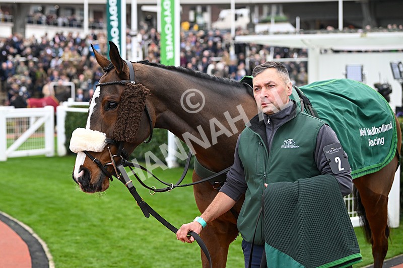 161124-Race 2-Paddock-Transmission-9435 - Race 2