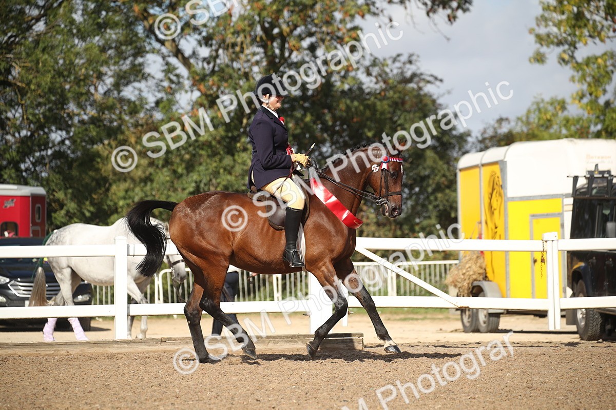 SBM_22878 - Class 602 - 2026 Area - Ridden Veteran