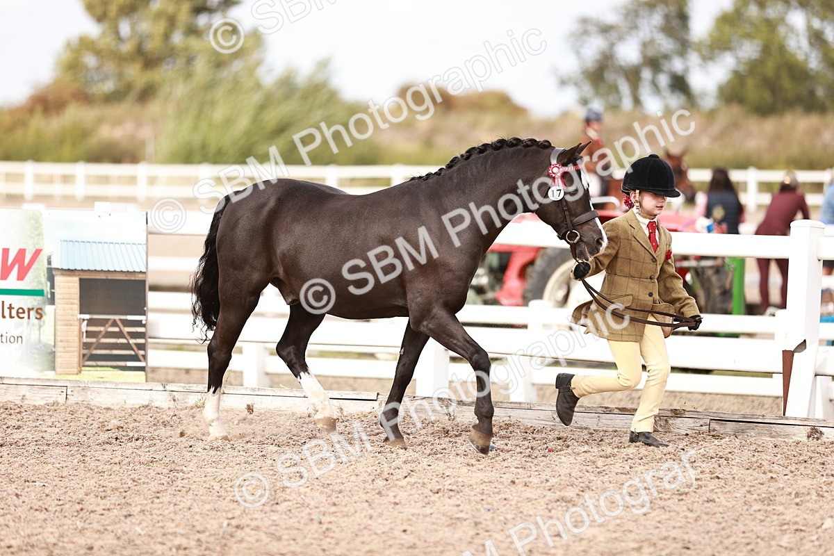 SBM_18361 - Class 418 - Best Condition - Jnr