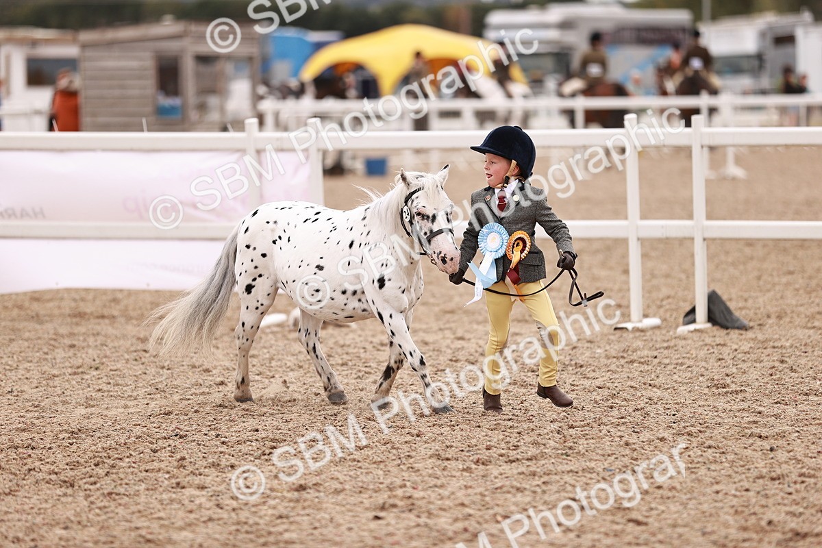 SBM_18642 - Class 421 - Childs Best Friend - Jnr