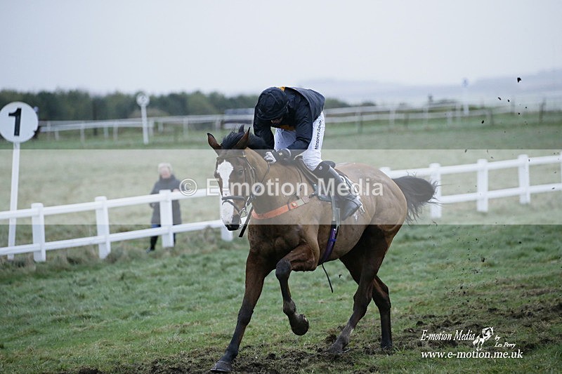 PtP 020122 613 - Larkhill Racing Club Point-to-Point 02/01/2022