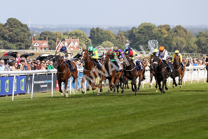 310824-Race 3-Frank The Spark-1318 - Race 3