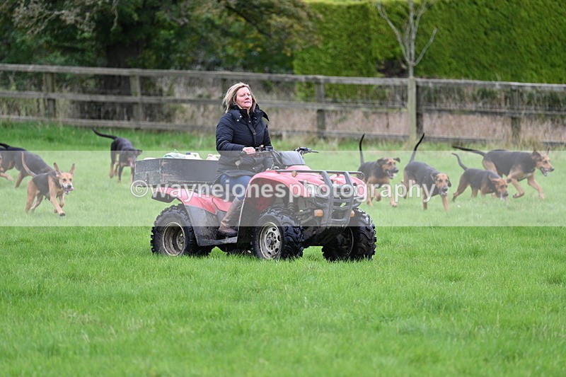 WJ7_4347 - Camera 1 Line 3