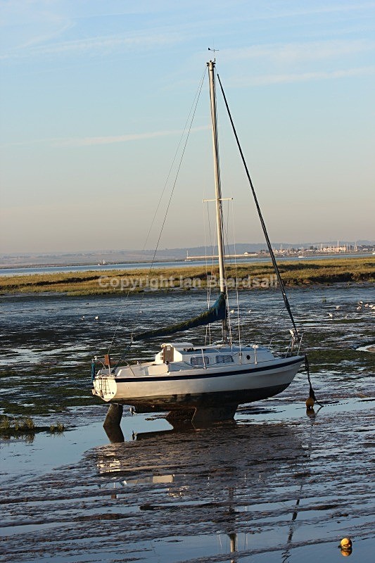 IMG_4772 - Essex