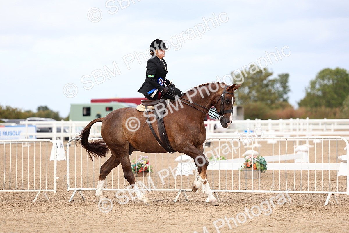 SBM_03489 - Class 24 - SSA Concours d'elegance (any age)