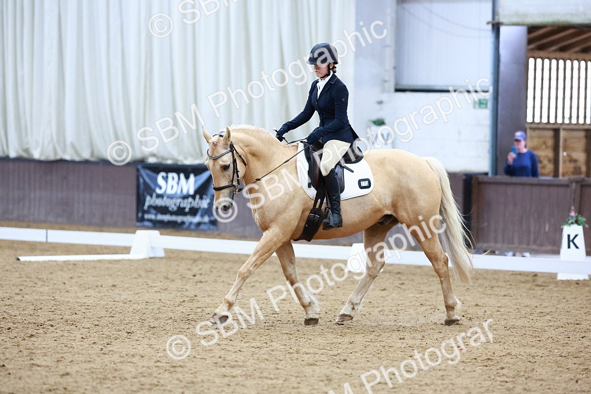 0B8A8284 - Class 5 - Novice 2