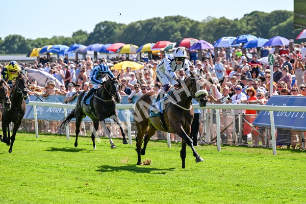 120725-Race 4-Al Qareem-0333 - Race 4 3.45pm John Smith's Silver Cup Stakes