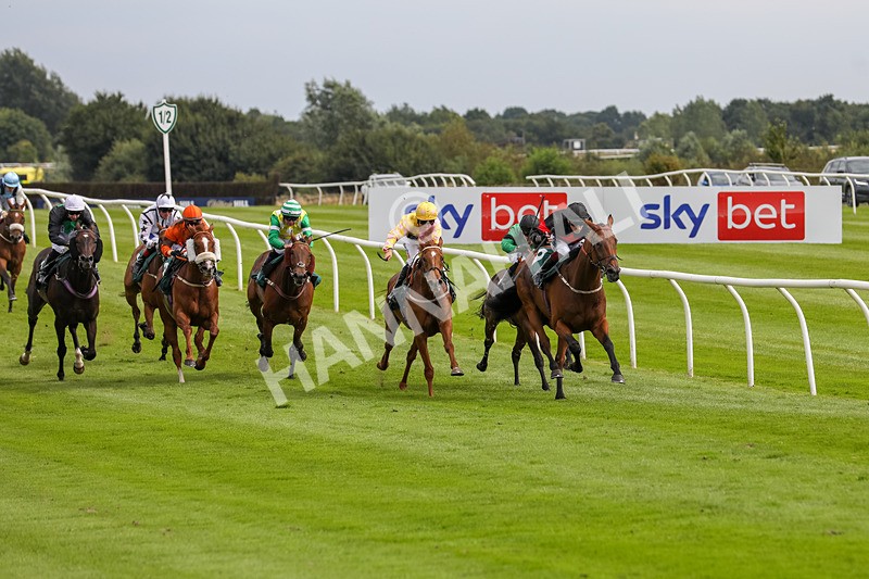 240724-Race 4-Swinging Eddie-3506 - Race 4