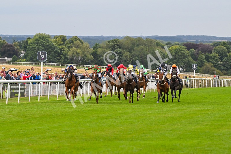 150824-Race 4-Opal Storm-8041 - Race 4