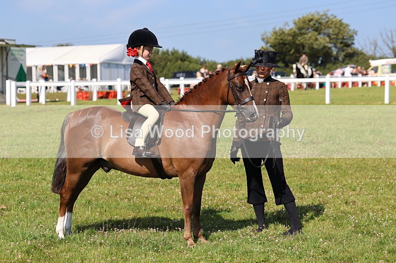 IMG_1731 - Class 31: Lead Rein SP/SHP