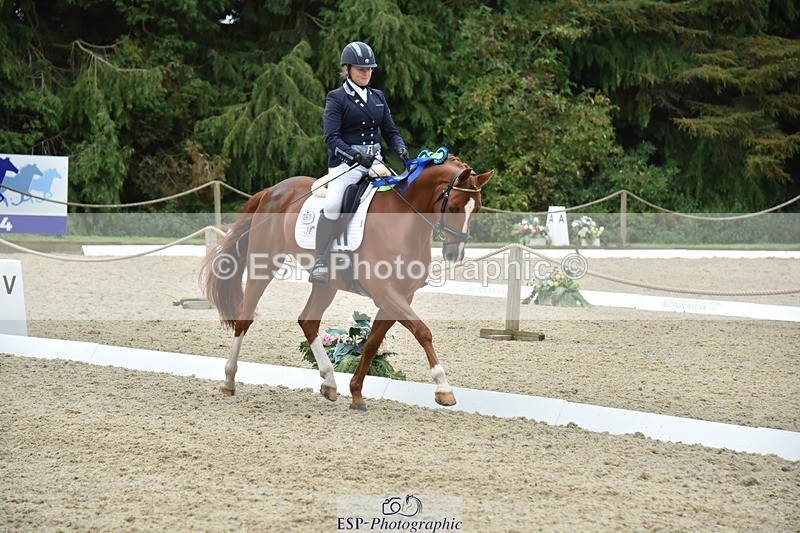 230813-182106-08852 - Medium Silver Presentations