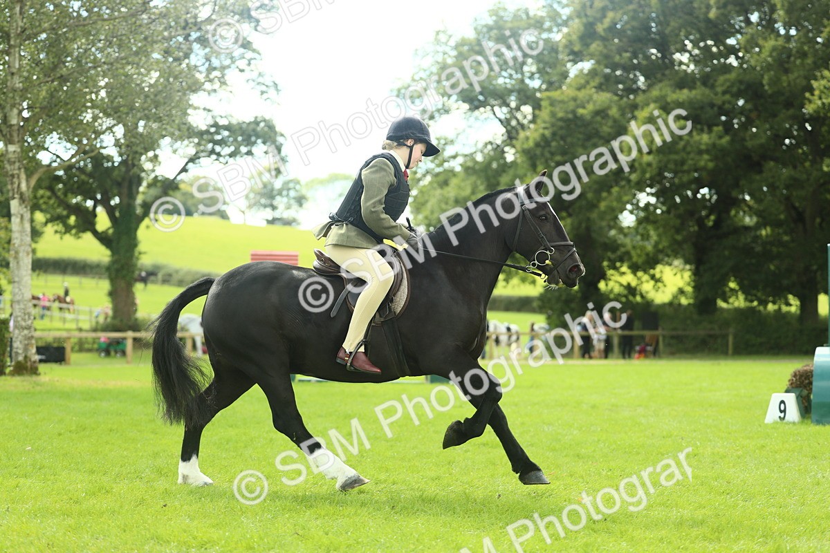 SBM_44739 - S31 - Working Hunter Pony