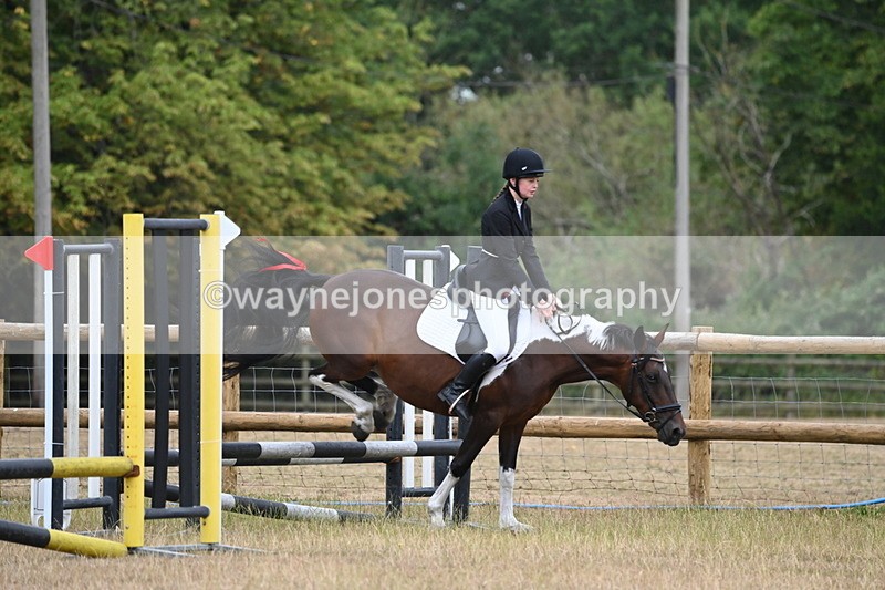 WJ6_0035 - Class 13 Novice Jumping 60cm