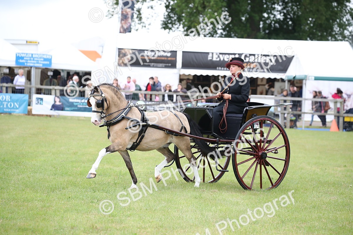 SBM_05834 - Class 12-15 - HOYS Private Driving