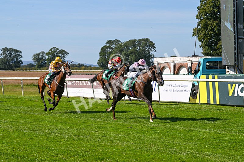 160924-Race 1-Susiesparkle-2508 - Race 1