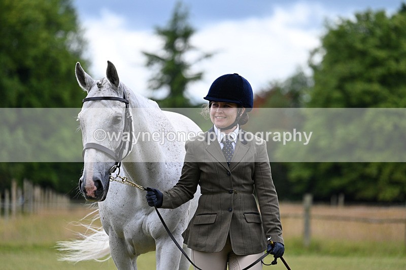 WJ7_6983 - Class 5a Most Handsome Gelding in Hand