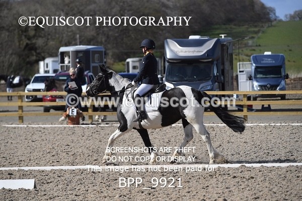 BPP_9921 - TEAM QUEST PRELIM 3