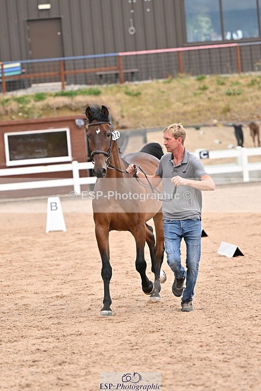 250716-151418-01804 - Trot Up 2.30 to 3.30