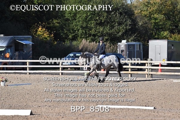 BPP_8508 - SHORT ARENA INTRO 1