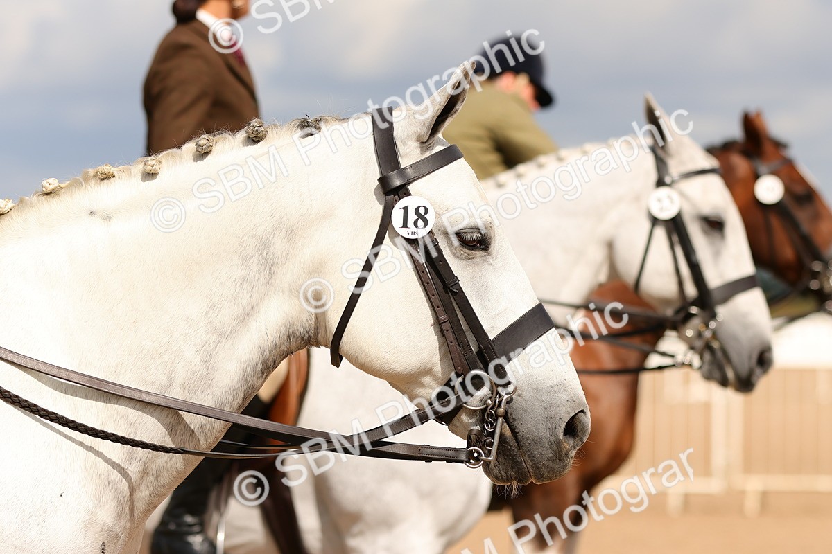 SBM_13223 - Class 211 - Ridden Hunter - Small