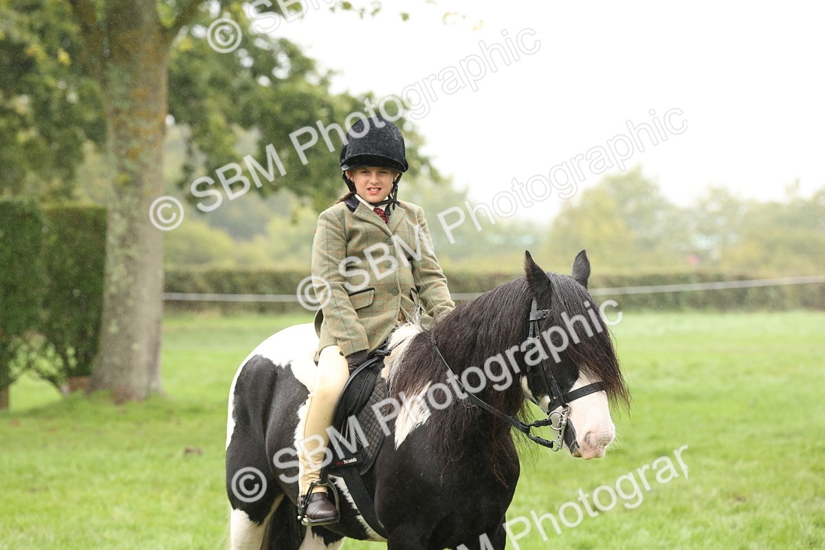 SBM_72774 - S70 - Traditional Cob Ridden