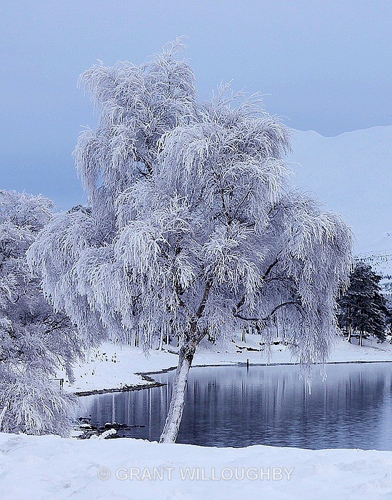 Hoar Frost - Woods Trees Gorges and Waterfalls