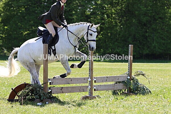 IMG_3535 - Working Hunter