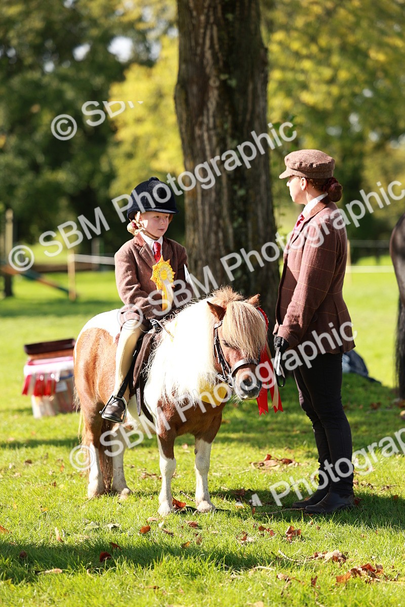 SBM_42202 - S32 - Mountain & Moorland Working Hunter Pony