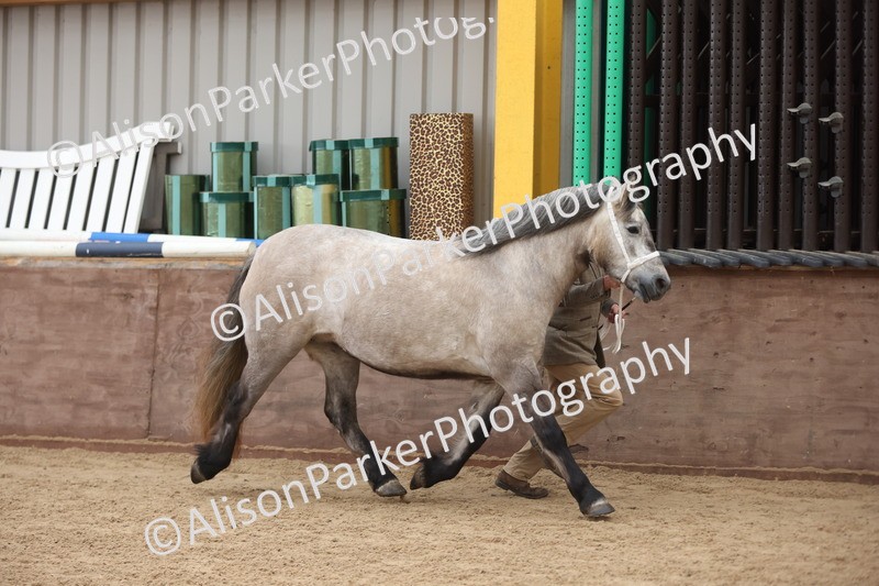 20251109-0882 - Class 26 - 2 and 4 Year Olds