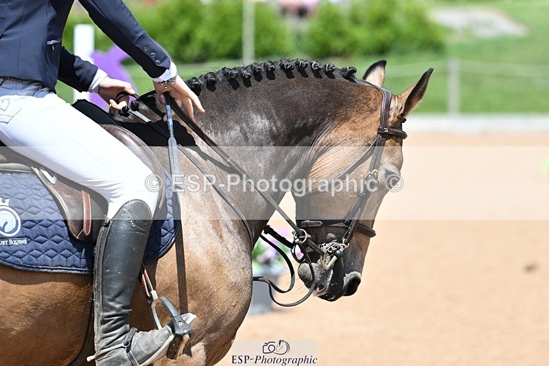 260627-134120-04435 - Cls 14 Newcomers 2nd R's Jump Off and P
