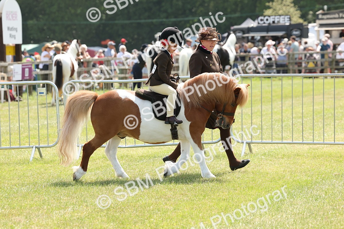 SBM_05221 - Class 24-25 - Mountain & Moorland In Hand Lead Rein and First Ridden