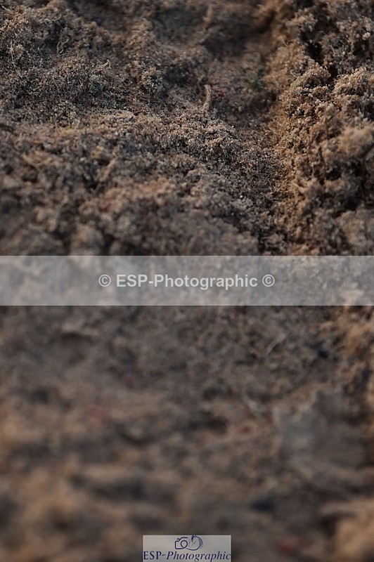 231105A-141010-01326 - 1m