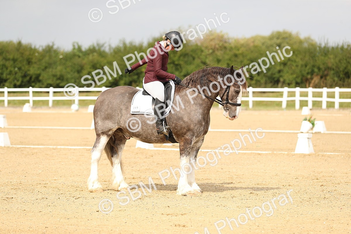 SBM_017322 - Class 13 - Novice 23 - 13.31-14.13