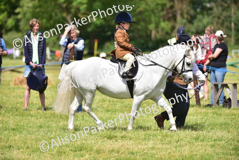 20260614-1189 - Class 11a - Lead Rein Pony (Unplaited)