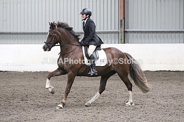SIAL5035 - CAbin Dressage 5th july 2025