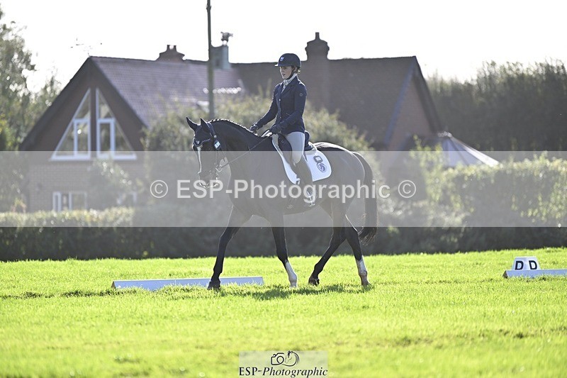 241025-111608-06814 - 365-Charlotte.Cutler-HOLY.STREET