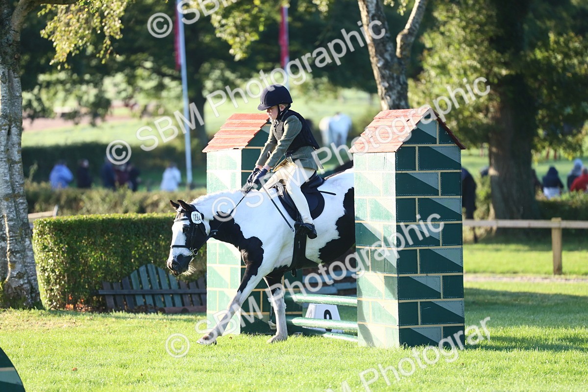 SBM_31750 - S28 - Nursery Stakes Working Hunter Pony