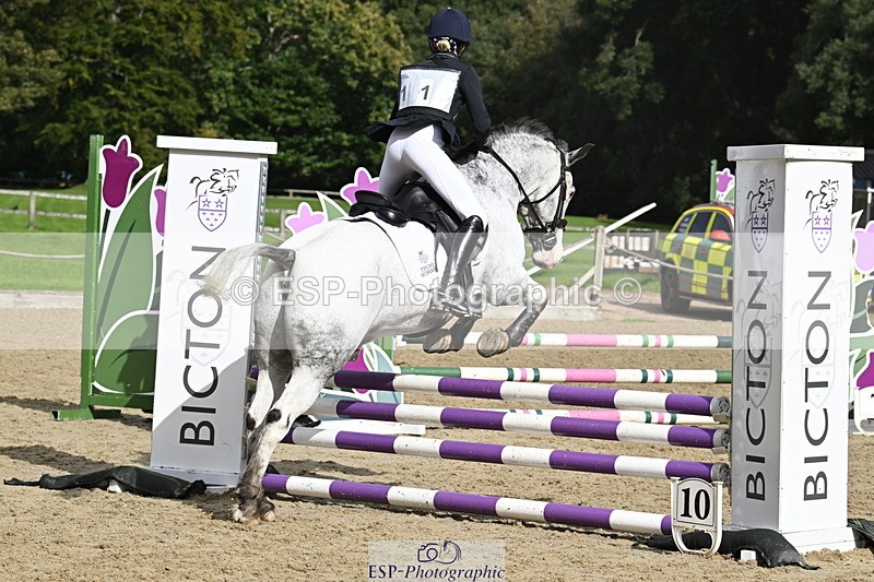 251005A-121031-03637 - Cls 08 Mini 70-75cm