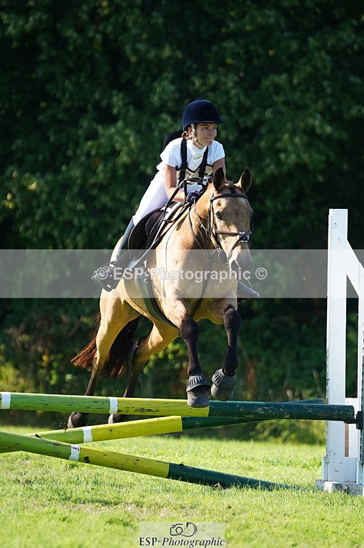 240811A-171002-06555 - 422-