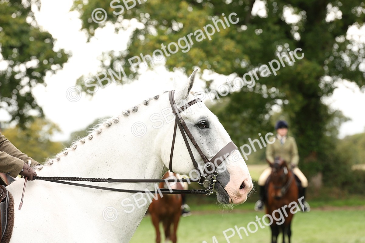 SBM_66391 - S66 - Hunter Ridden