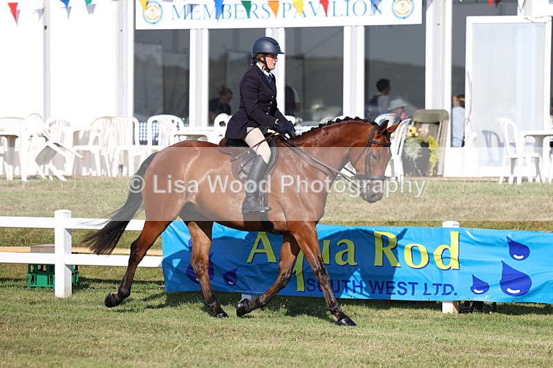3E7A5496 - Class 2: Rising Star Large Hack/Riding Horse