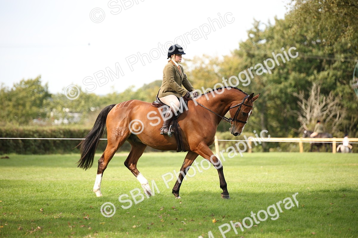 SBM_70363 - S66 - Hunter Ridden