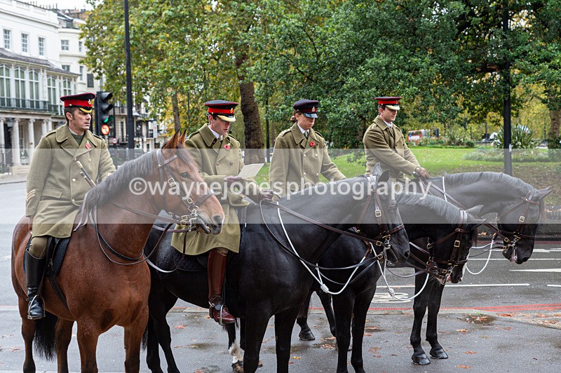 NGP_7118 - Animals In War Memorial - 10-11-23