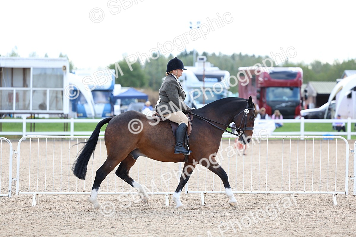 SBM_17078 - Class 315 - Best Horse - Rider Combination