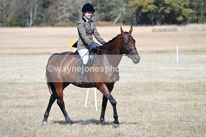 WJ7_1171 - Class 41 Prettiest Mare