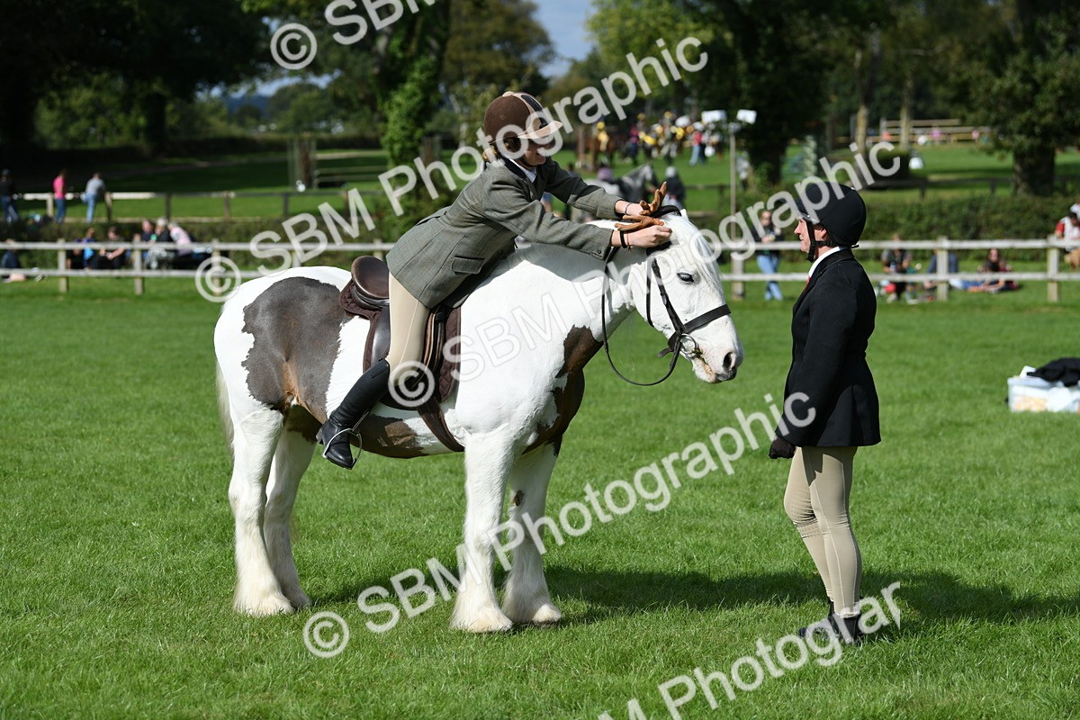 SBM_47023 - S12 - Family Horse & Pony