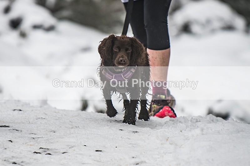 Glentress-901 - High Terrain Events Glentress 42, 21 & 10K Trail Races Sunday 15th February 2026
